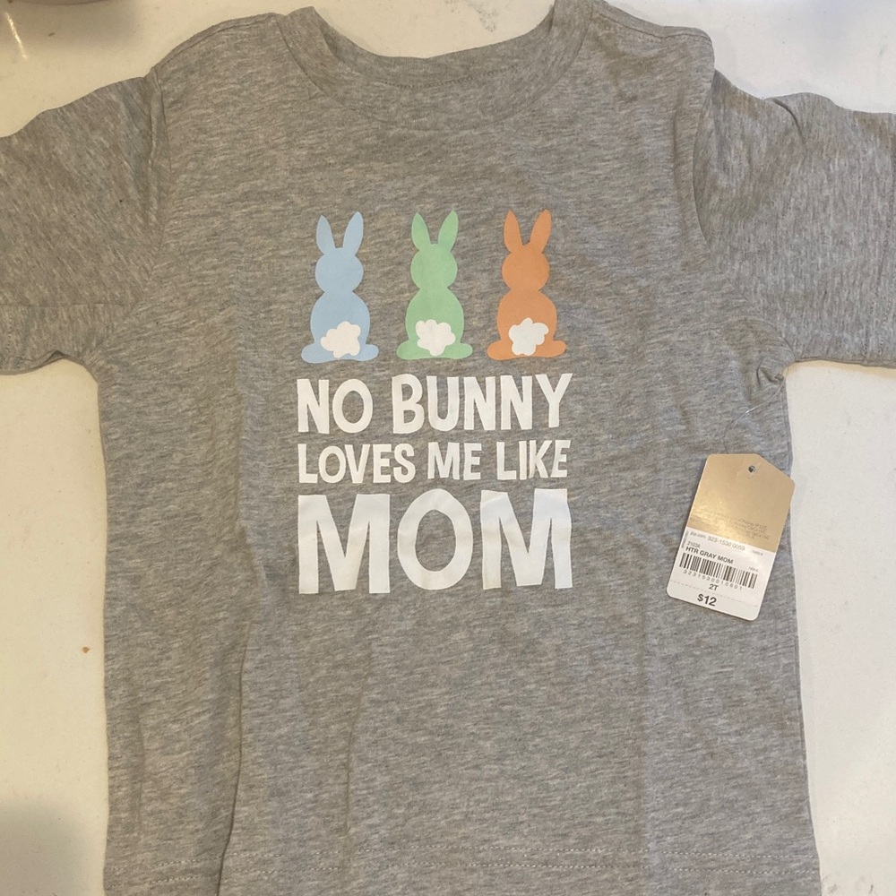 Kids Gray Bunny Graphic Tee